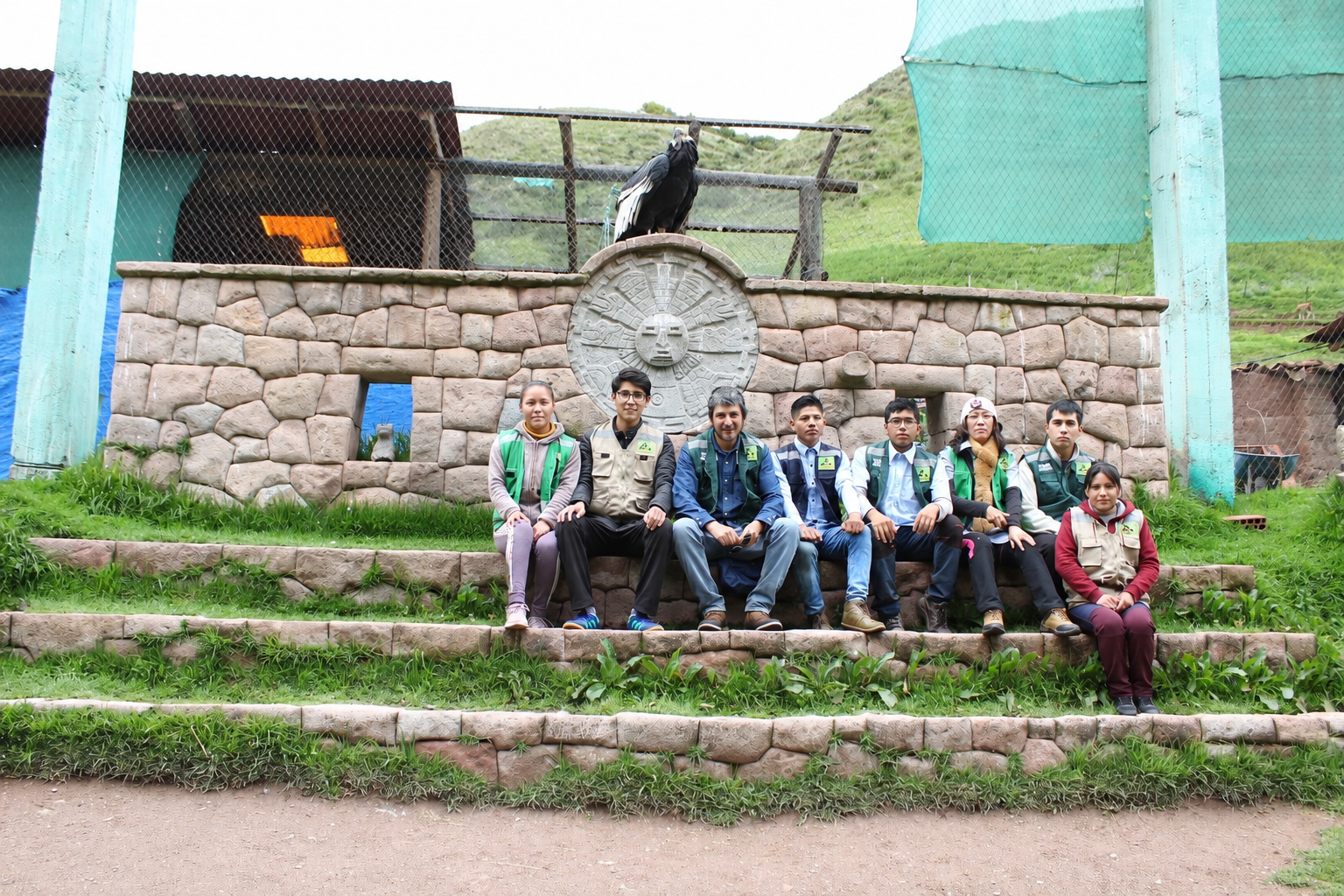 Andean condor at Cochahuasi Animal Sanctuary