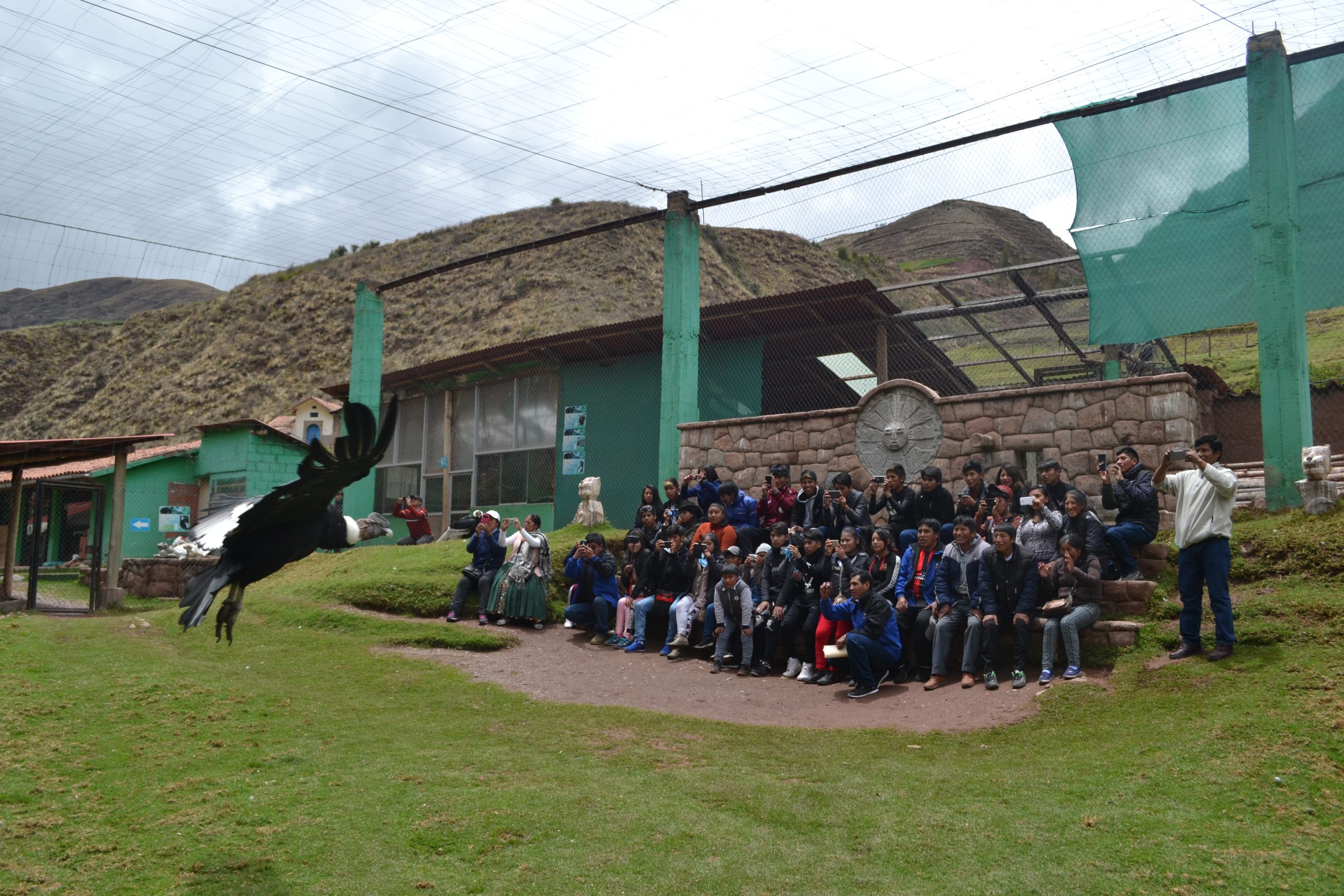 Wildlife conservation work at Cochahuasi Animal Sanctuary